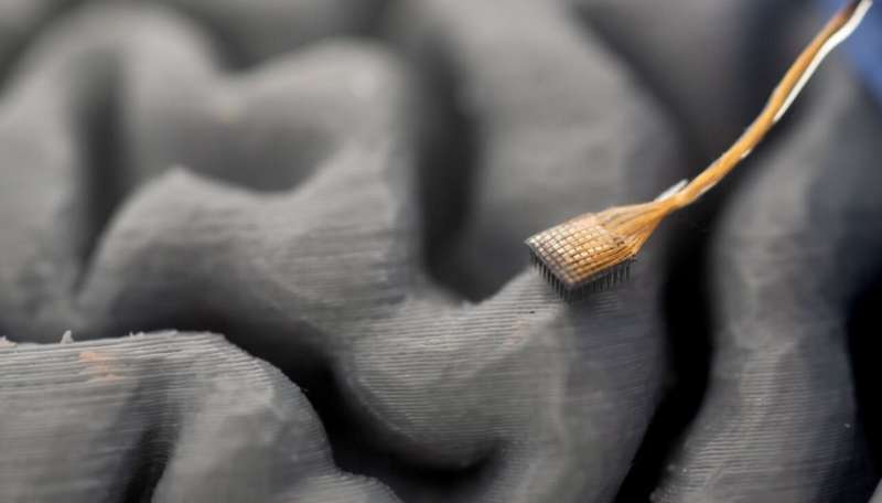 Three-dimensional model of brain and microelectrode arrays. Credit: UC Regents First-of-its-kind technology helps man with ALS 'speak' in real time