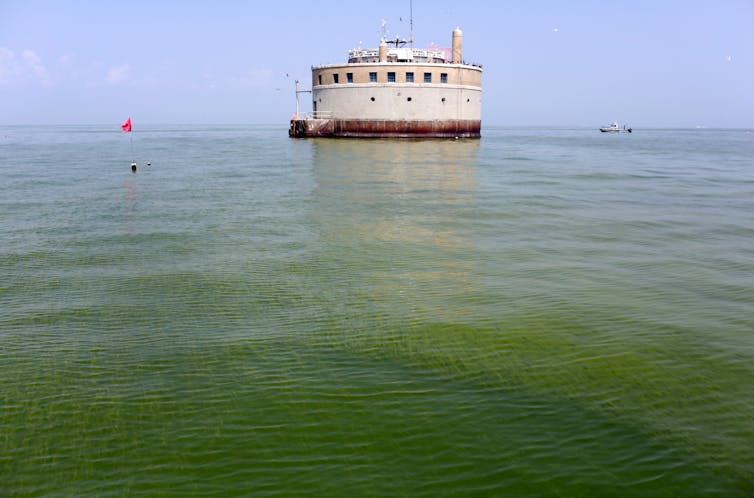 A large round structure offshore is surrounded by blue-green algae.