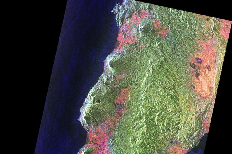Biomass satellite returns striking first images of forests and more