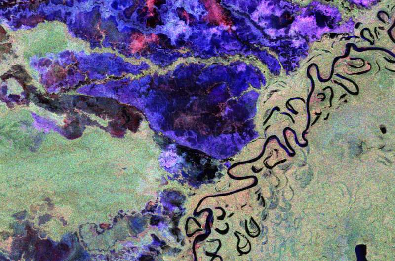 Biomass satellite returns striking first images of forests and more