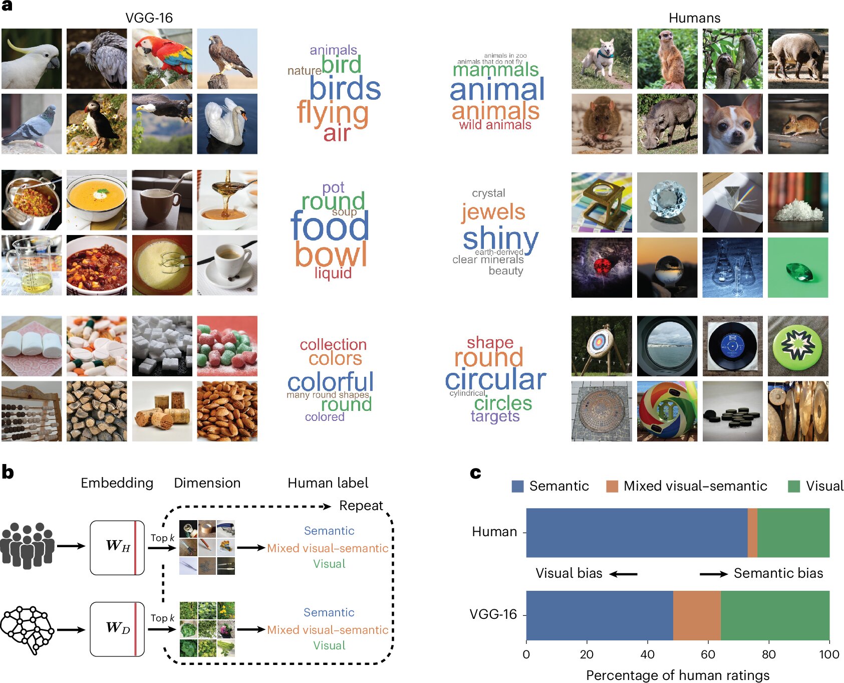 AI and humans see objects differently: Meaning versus visual features ...