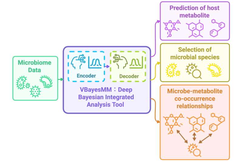 A simplified breakdown of the inputs, process and outputs that make up the system. Credit: Briefings In Bioinformatics (2025). DOI: 10.1093/bib/bbaf30 Demystifying gut bacteria with AI