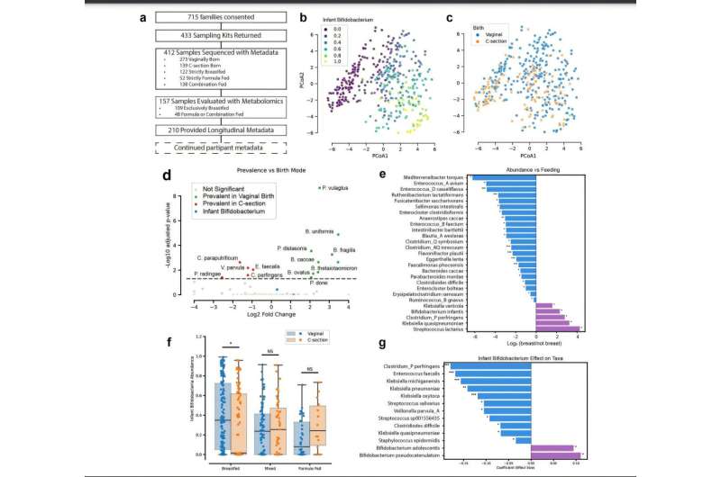 General features of infant gut microbiome. Credit: Communications Biology (2025). DOI: 10.1038/s42003-025-08274-7 Missing beneficial bacteria in infant guts infant guts can be linked to rising asthma and allergy cases