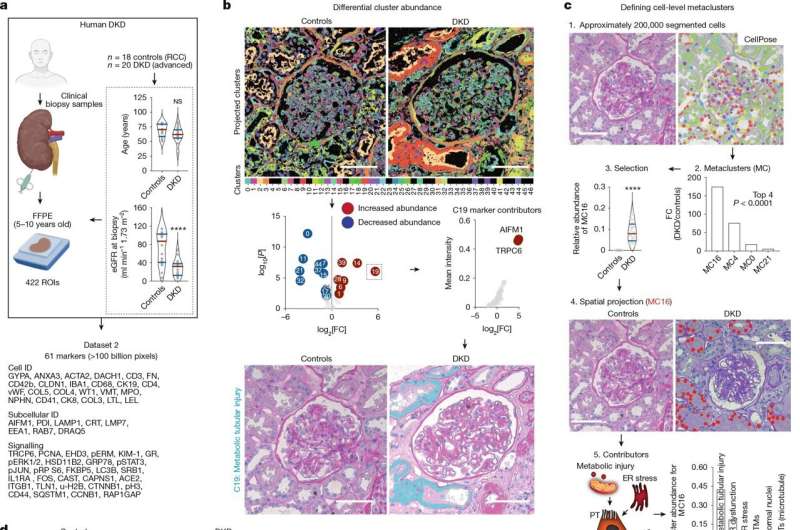 New technology to obtain more information from the same tissue sample