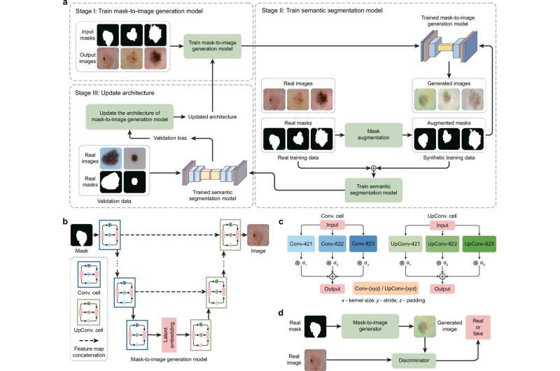 Proposed end-to-end data generation framework for improving medical image segmentation in ultra low-data regimes. Credit: Nature Communications (2025). DOI: 10.1038/s41467-025-61754-6 New AI tool learns to read medical images with far less data