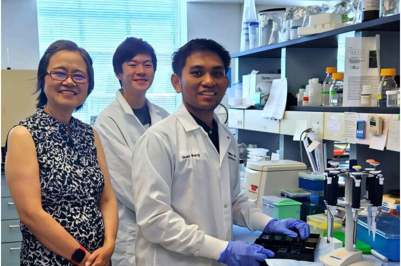Mouse study reveals gut microbe balance may be key factor in early-onset colorectal cancer