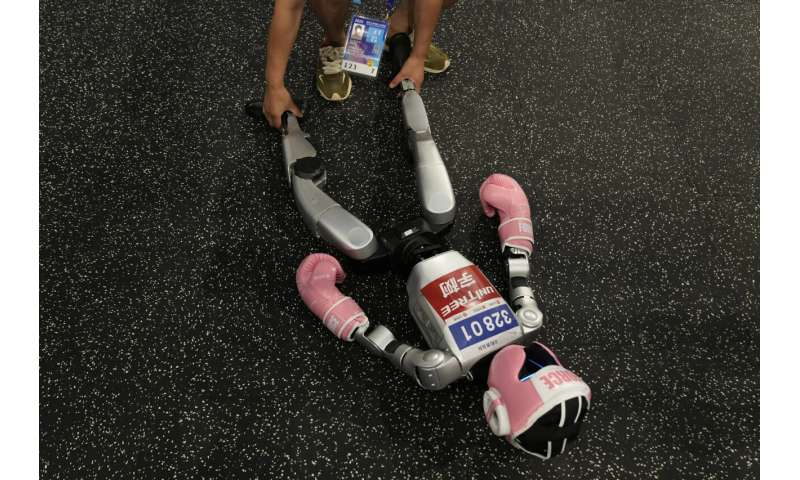 Photos of Beijing's World Humanoid Robot Games show how a human touch is still needed