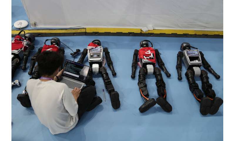 Photos of Beijing's World Humanoid Robot Games show how a human touch is still needed