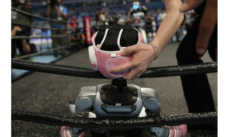 Photos of Beijing's World Humanoid Robot Games show how a human touch is still needed