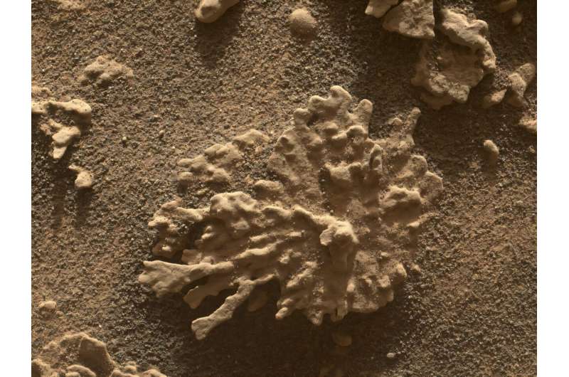 NASA's Curiosity viewed this rock shaped like a piece of coral on July 24, 2025, the 4,608th Martian day of the mission. The rover has found many rocks that—like this one—were formed by minerals deposited by ancient water flows combined with billions of years of sandblasting by wind. Credit: NASA/JPL-Caltech/MSSS Marking 13 years on Mars, NASA’s Curiosity picks up new skills