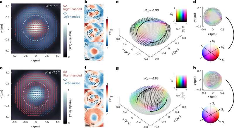 Polarization profiles of the cavity-enhanced single-photon skyrmions. Credit: Nature Physics (2025). DOI: 10.1038/s41567-025-02973-y The first experimental realization of quantum optical skyrmions in a semiconductor QED system