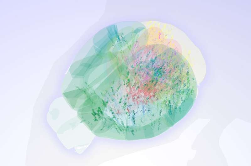 Outline of a mouse brain showing 75,000 analyzed neurons, each dot is linearly scaled according to the raw average firing rate of that neuron up to a maximum size. Credit: Dan Birman, International Brain Laboratory. Complete brain activity map revealed for the first time