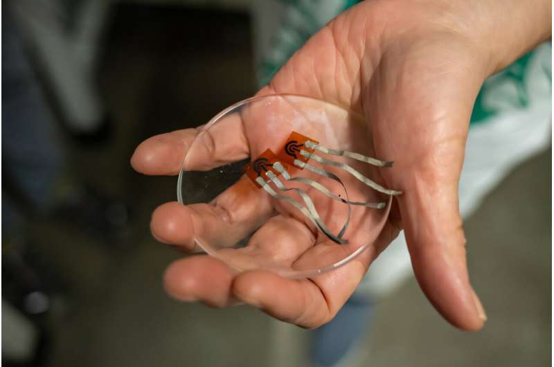 Zeng's sensors are both highly sensitive and selective. Credit: Yvonne Groner Mizzou at the forefront of using hydrogen energy safely