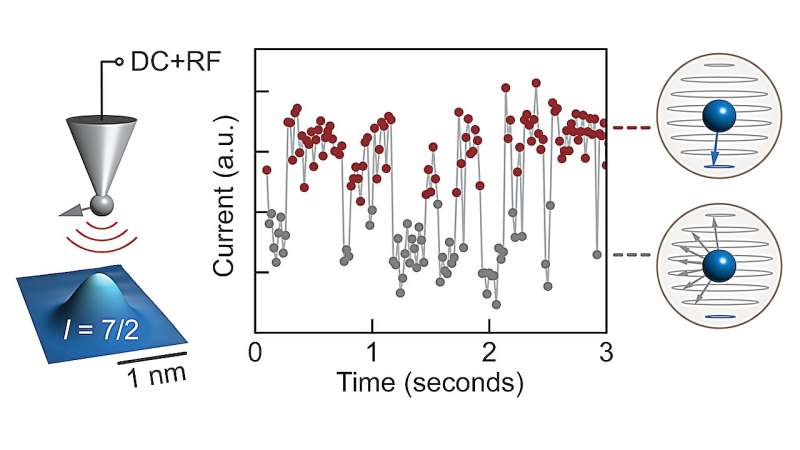 Graphical summary of the experiment. A voltage signal is sent via the STM needle to an atom carrying a nuclear spin. The frequency of this signal matches the energy of only 1 out of 8 quantum states the nuclear spin can occupy. Over time, current passing through the atom switches between a higher value (red) and a lower value (gray), respectively indicating that the nuclear spin resides in the selected quantum state or in any of the other 7 states. The spin can be seen to stay in the same state for a significant fraction of a second. In a more controlled version of the experiment, the nuclear spin was found to be stable up to 5 seconds. Credit: Sander Otte Quantum researchers observe real-time switching of the magnet in the heart of a single atom