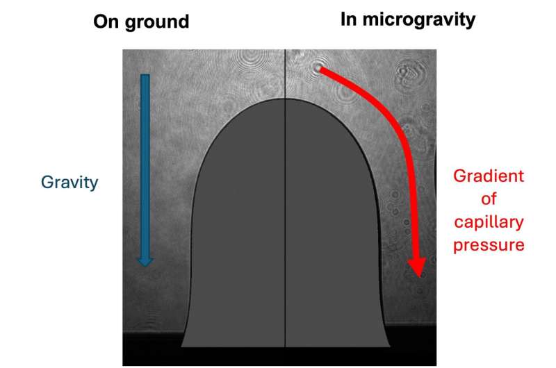 Film condensation at different gravity conditions around a fin-shaped object highlighted in grey. The black layer on the surface of the fin shows the thickness of the moisture layer. On Earth, the liquid film is very thin because gravity drainage dominates over capillary forces. In space, without gravity’s pull, this film becomes thicker because it is driven by capillary pressure, the natural force that draws liquids through small spaces. Credit: CREST/Université Libre de Bruxelles Condensation defying gravity