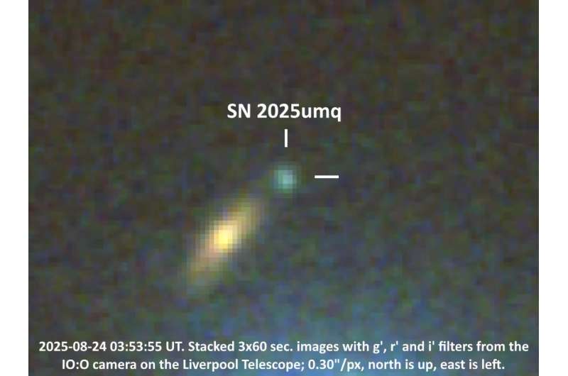 Dedicated amateur discovers supernova in remote galaxy
