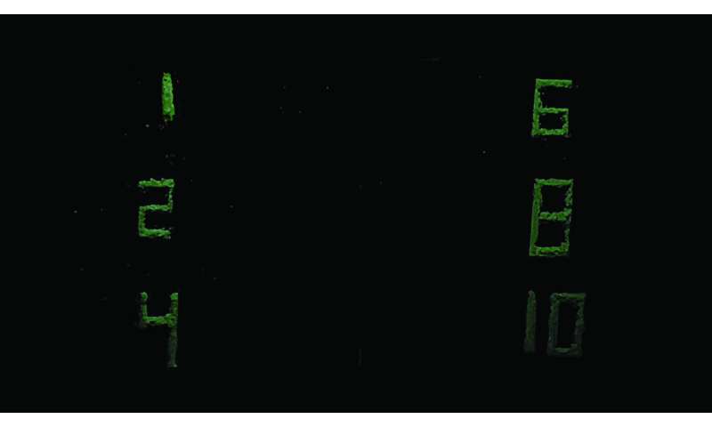 Scientists develop green alternative for light-emitting materials used in display technologies