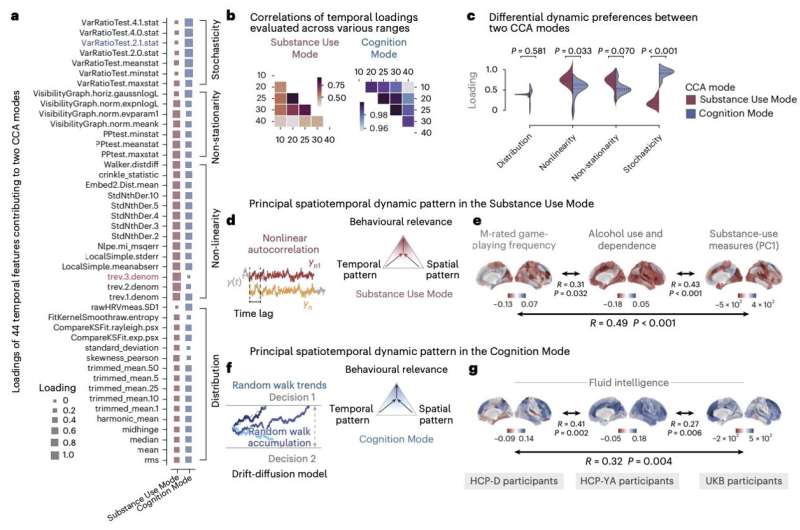 Representative spatiotemporal dynamic patterns for each brain–behavior association. Credit: Nature Human Behavior (2025). DOI: 10.1038/s41562-025-02332-0 Study unveils intra-regional brain dynamics linked to person-specific characteristics
