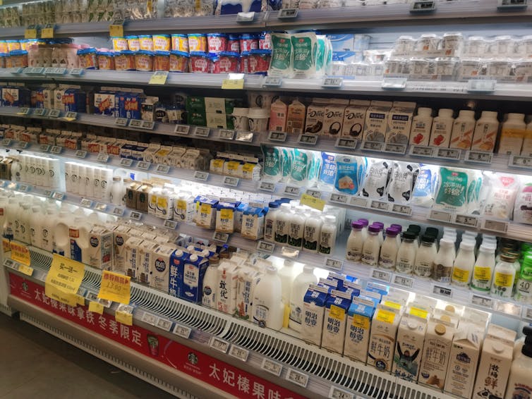 Grocery store aisle filled with various brands of milk
